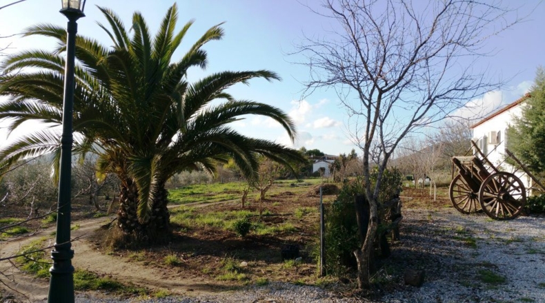 Sevilla - Guadalcanal - 8962m2
