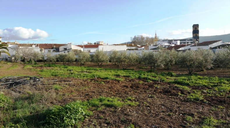 Sevilla - Guadalcanal - 8962m2