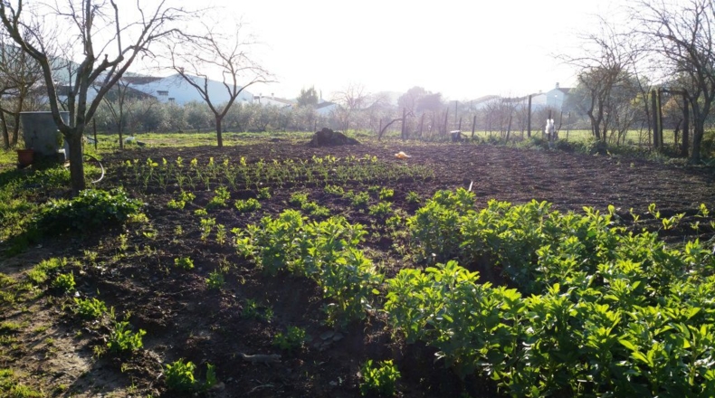 Sevilla - Guadalcanal - 8962m2