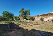 Sòl urbà en venda a Guadalcanal ref.: TR234174 foto