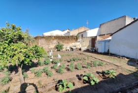 Guadalcanal 424&nbsp;m² 