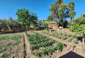Guadalcanal 424&nbsp;m² 