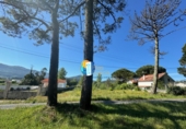 Suelo urbano en venta en O Porto do Son ref: TR111058 foto