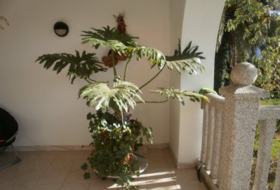 Valdoviño 120&nbsp;м²
