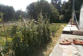 Foto 8