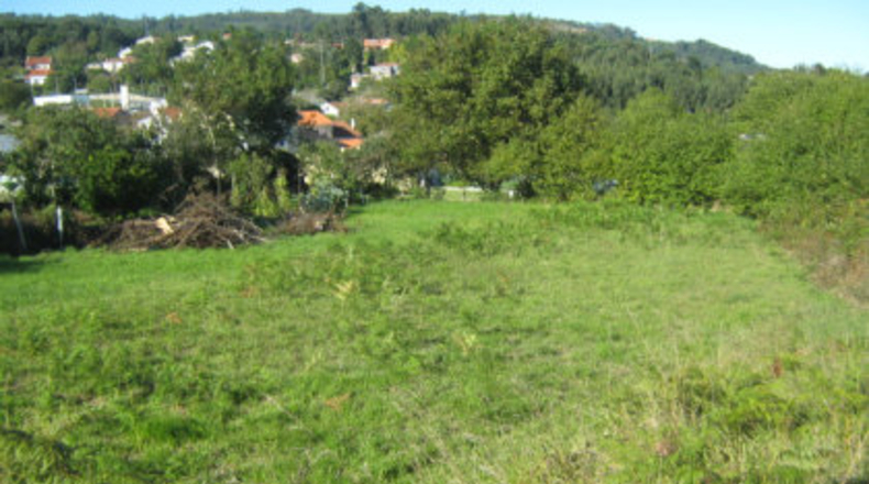 La Coruña - Veiga - 550m2
