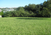 Terreny no urbanitzable en venda a Ferrol ref.: TR12349 foto