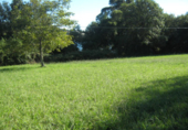 Terreny no urbanitzable en venda a Ferrol ref.: TR12349 foto