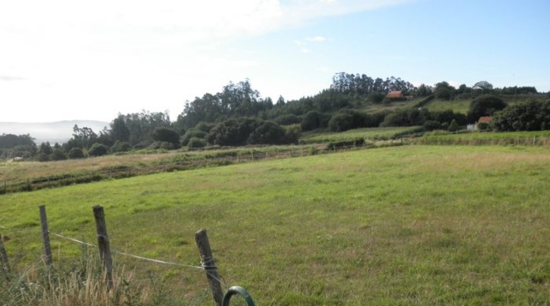 La Coruña - O Val - 6000m2