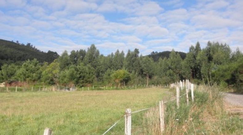 La Coruña - O Val - 6000m2