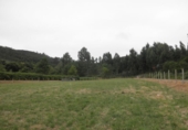 Finca rústica en venda a Narón ref.: TR51442 foto