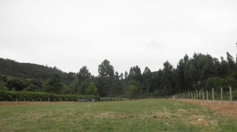 La Coruña - O Val - 6000m2