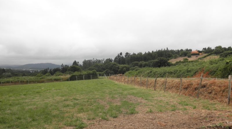 La Coruña - O Val - 6000m2
