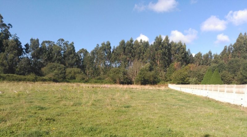 La Coruña - O Val - 2800m2