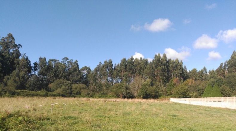 La Coruña - O Val - 2800m2