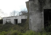 Finca rústica en venta en Aro ref: TR12858 foto