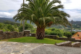 Cedeira 400&nbsp;m² 