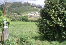Avenida do Marqués de San Sadurniño 1900&nbsp;m² 