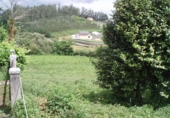 Finca rústica en venda a Avenida do Marqués de San Sadurniño ref.: TR210104 foto