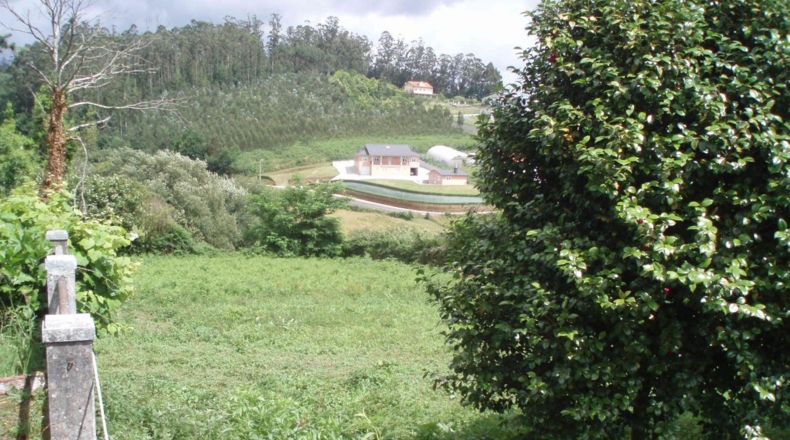 La Coruna - San Sadurniño - 1900m2