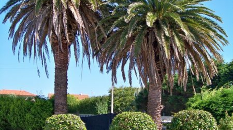 La Coruña - Tralocastro - 2700m2