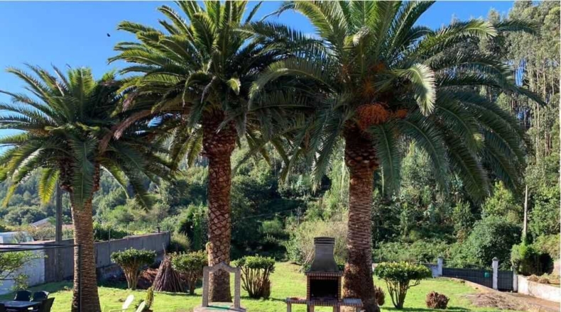La Coruña - Aldea de Pazos - 3500m2