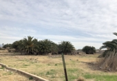 Sòl urbà en venda a Castelló de la Plana ref.: TR12362 foto