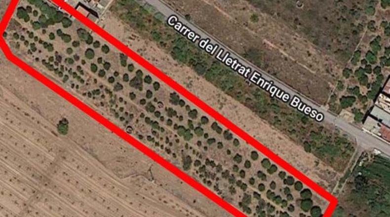 Castellón - Les Alqueries - 1662m2