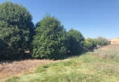 Land suitable for development for sale in Alquerías del Niño Perdido ref: TR12391 photo