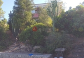 Chalet independiente con terreno en venta en La Vall d'Uixó ref: TR29253 foto