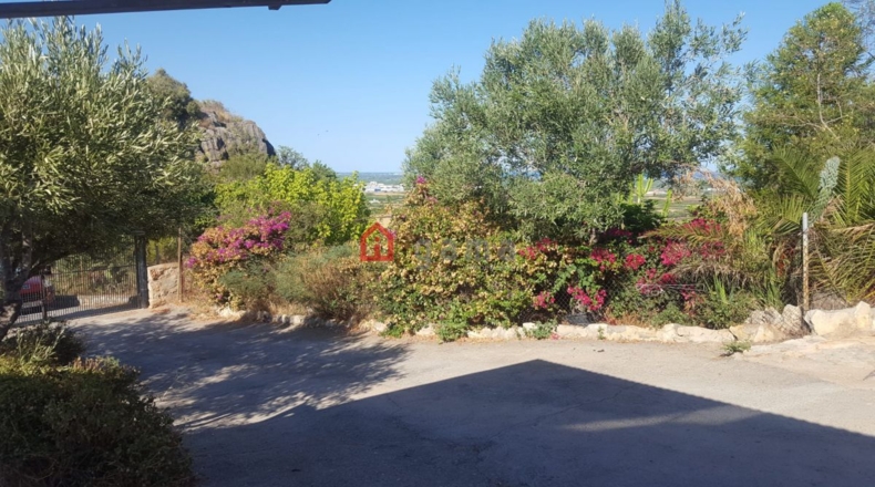 Castellón - La Vall d'Uixó - 4000m2