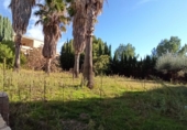 Xalet independent amb terreny en venda a l'Alcora ref.: TR12026 foto