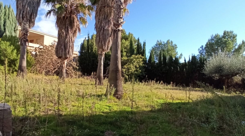 Castellón - Alcora - 905m2