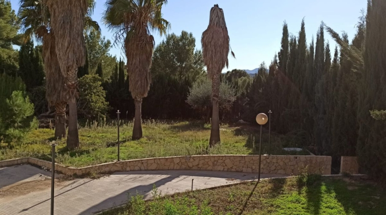 Castellón - Alcora - 905m2