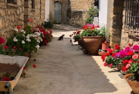 Puebla de Arenoso 1100&nbsp;m²