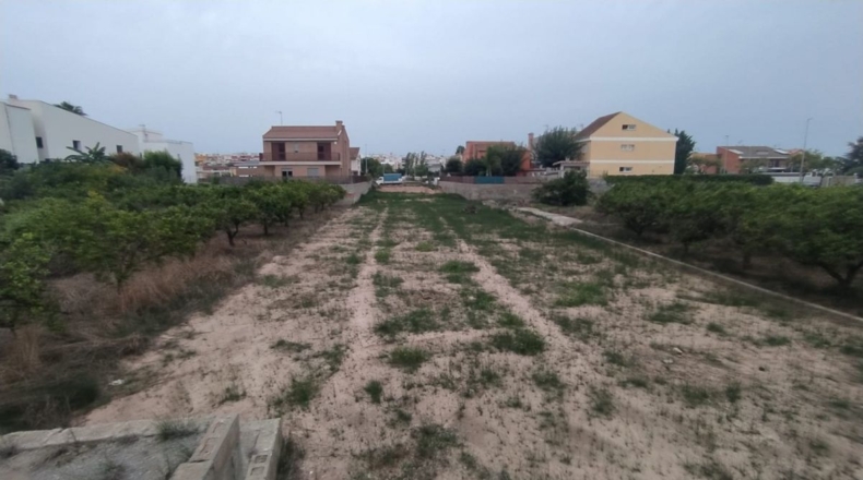 Castellón - Borriana - 1295m2