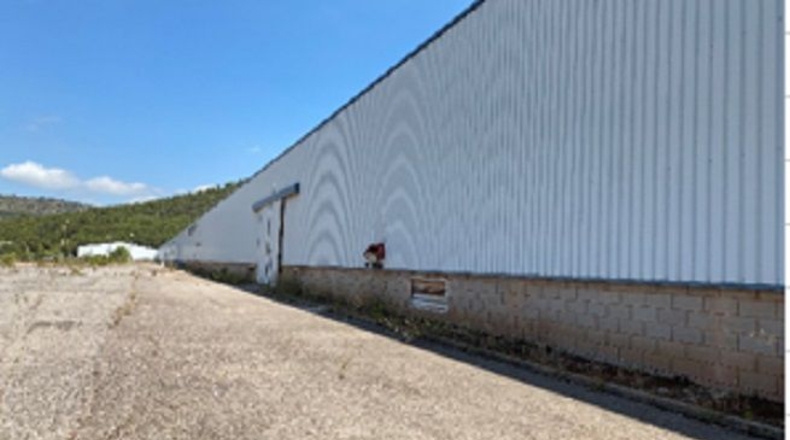 Castellón - Lucena del Cid - 99127m2