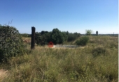 Terreno no urbanizable en venta en Castellón de la Plana ref: TR36477 foto
