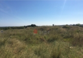 Terreno no urbanizable en venta en Castellón de la Plana ref: TR36477 foto