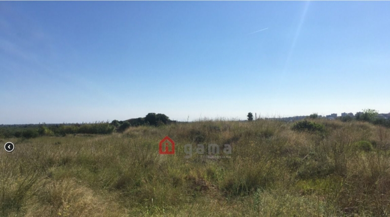 Castellón - Castelló de la Plana - 7662m2