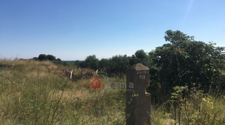 Castellón - Castelló de la Plana - 7662m2
