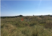 Terreno no urbanizable en venta en Castellón de la Plana ref: TR36477 foto