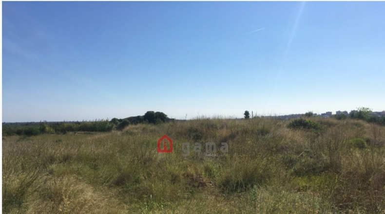 Castellón - Castelló de la Plana - 7662m2
