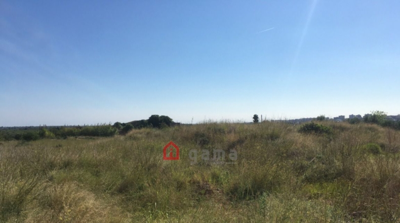 Castellón - Castelló de la Plana - 7662m2