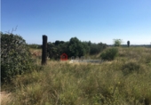 Terreno no urbanizable en venta en Castellón de la Plana ref: TR36477 foto