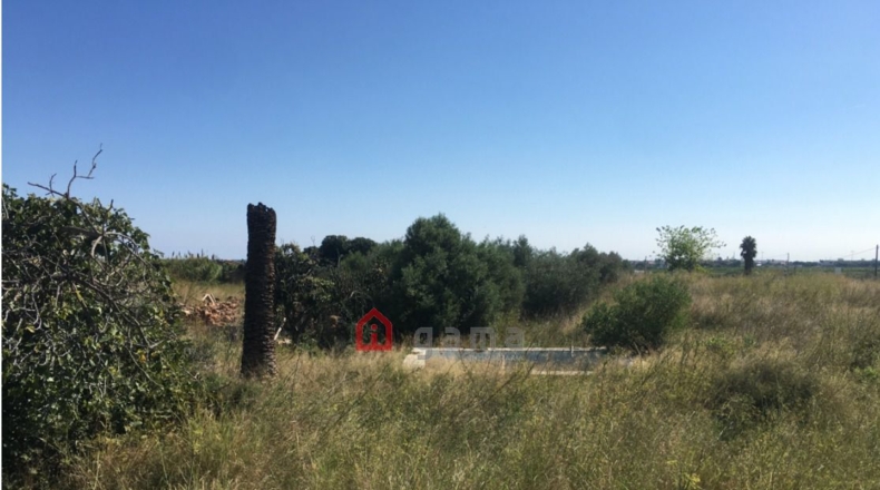Castellón - Castelló de la Plana - 7662m2