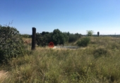Terreno no urbanizable en venta en Castellón de la Plana ref: TR36477 foto