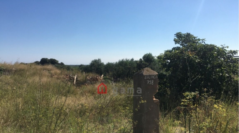 Castellón - Castelló de la Plana - 7662m2