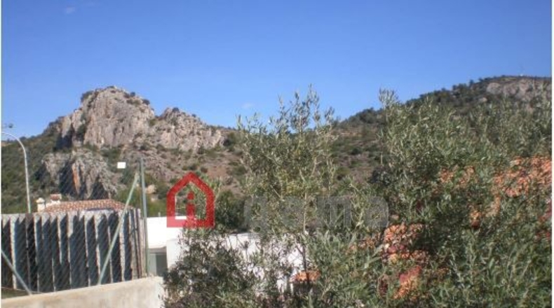 Castellón - Castelló de la Plana - 564m2