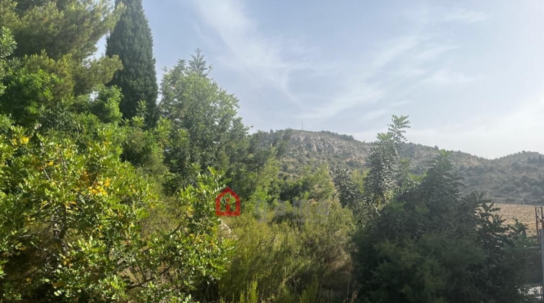 Castellón - Castelló de la Plana - 564m2